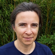 Avatar for Geoffroy from gravatar.com