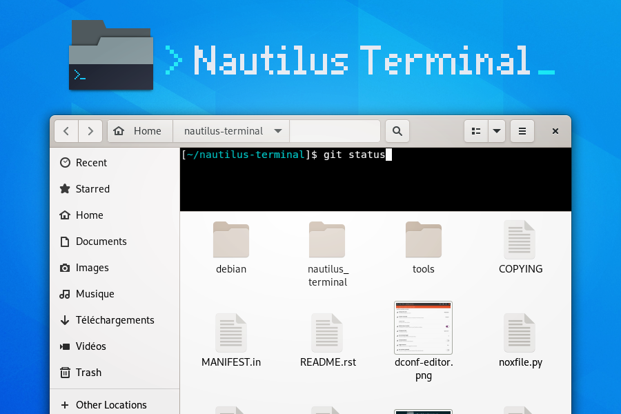 Nautilus Temrinal Screenshot