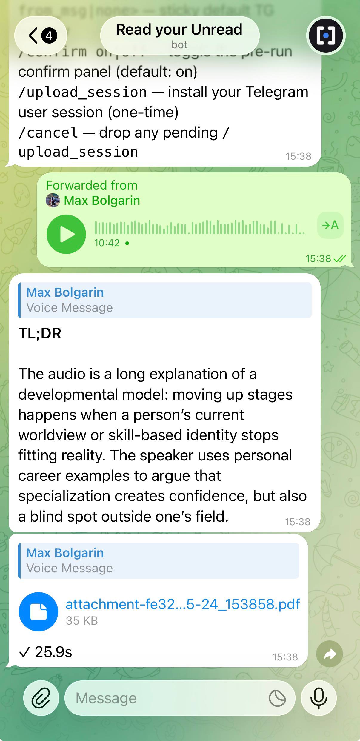 Bot replying with a voice-message summary, attaching the PDF report