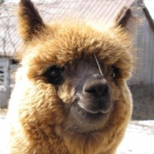 Avatar for Yann Rabiller from gravatar.com