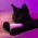 Avatar for CodCatDev from gravatar.com