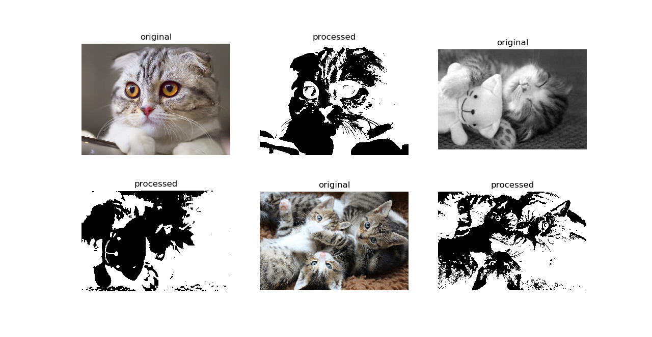 Cats