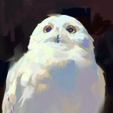 Avatar for Gopa from gravatar.com