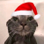 Avatar for delewer from gravatar.com
