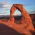 Avatar for synixbio from gravatar.com