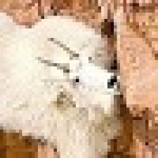 Avatar for jbarbuc from gravatar.com