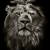 Avatar for Hanan007 from gravatar.com