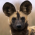 Avatar for noxpardalis from gravatar.com