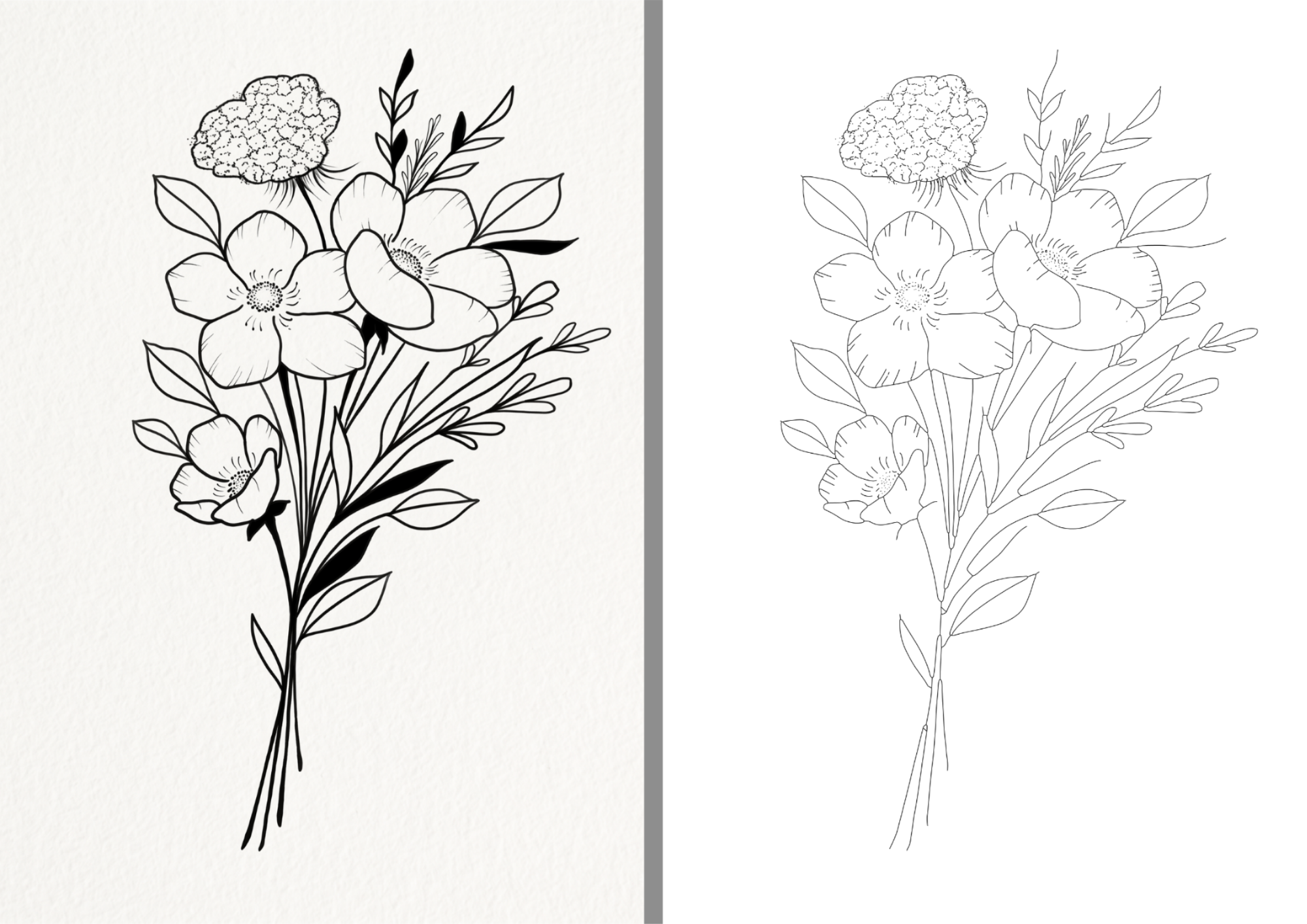 Full Drawing Comparison