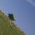 Avatar for dallaslu from gravatar.com