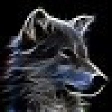 Avatar for Florian Behrend from gravatar.com