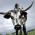 Avatar for rdenny from gravatar.com