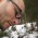 Avatar for nixstats from gravatar.com
