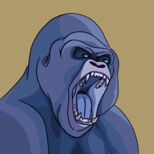 Avatar for gstoke from gravatar.com