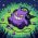 Avatar for weberz from gravatar.com