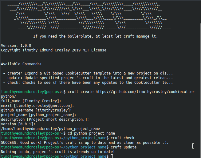 Official Example Usage of cruft update