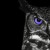 Avatar for boozo from gravatar.com