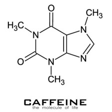 Avatar for Lars Yunker from gravatar.com