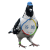 Avatar for wenzd from gravatar.com
