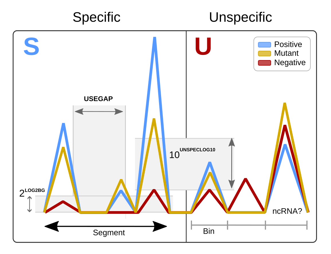 coalispr diagram
