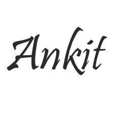 Avatar for Ankit Kumar from gravatar.com