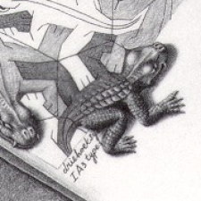 Avatar for Tom Dong from gravatar.com