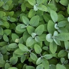 Avatar for John Smith from gravatar.com