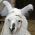 Avatar for c9m5 from gravatar.com
