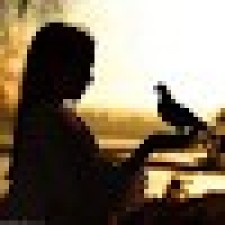 Avatar for Tushar Kumar from gravatar.com