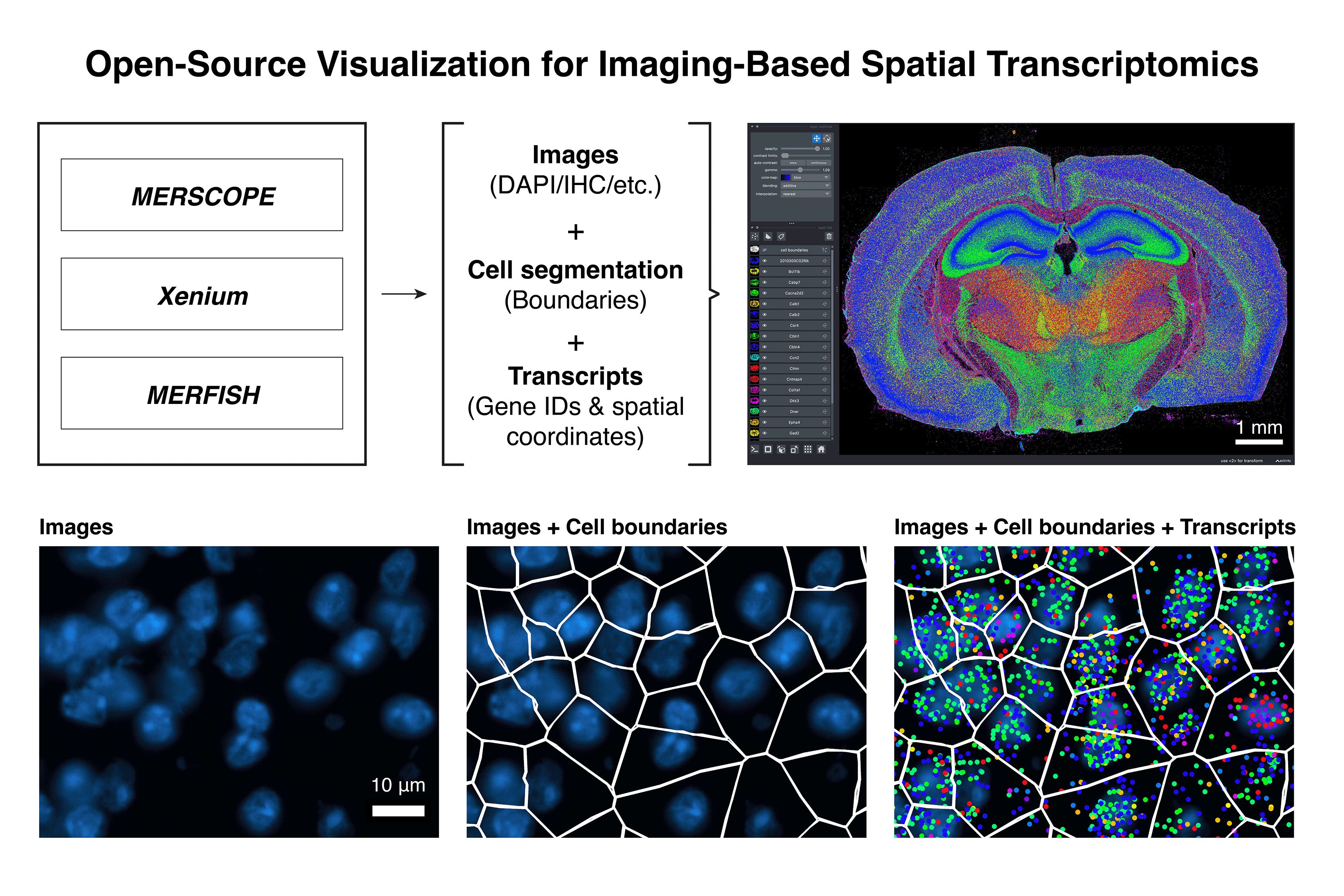 Bella Vista workflow