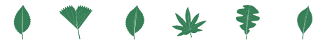 Six leaves, for builder, tester, docs, ios, release and search