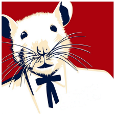 Avatar for Gareth Bryan from gravatar.com