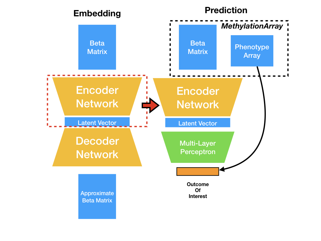 MethylNetPresentationSpring2019Lab 003