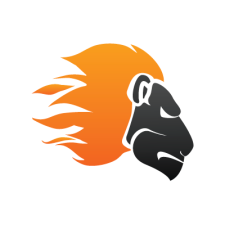 Avatar for anyks from gravatar.com