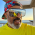 Avatar for Vveerrgg from gravatar.com