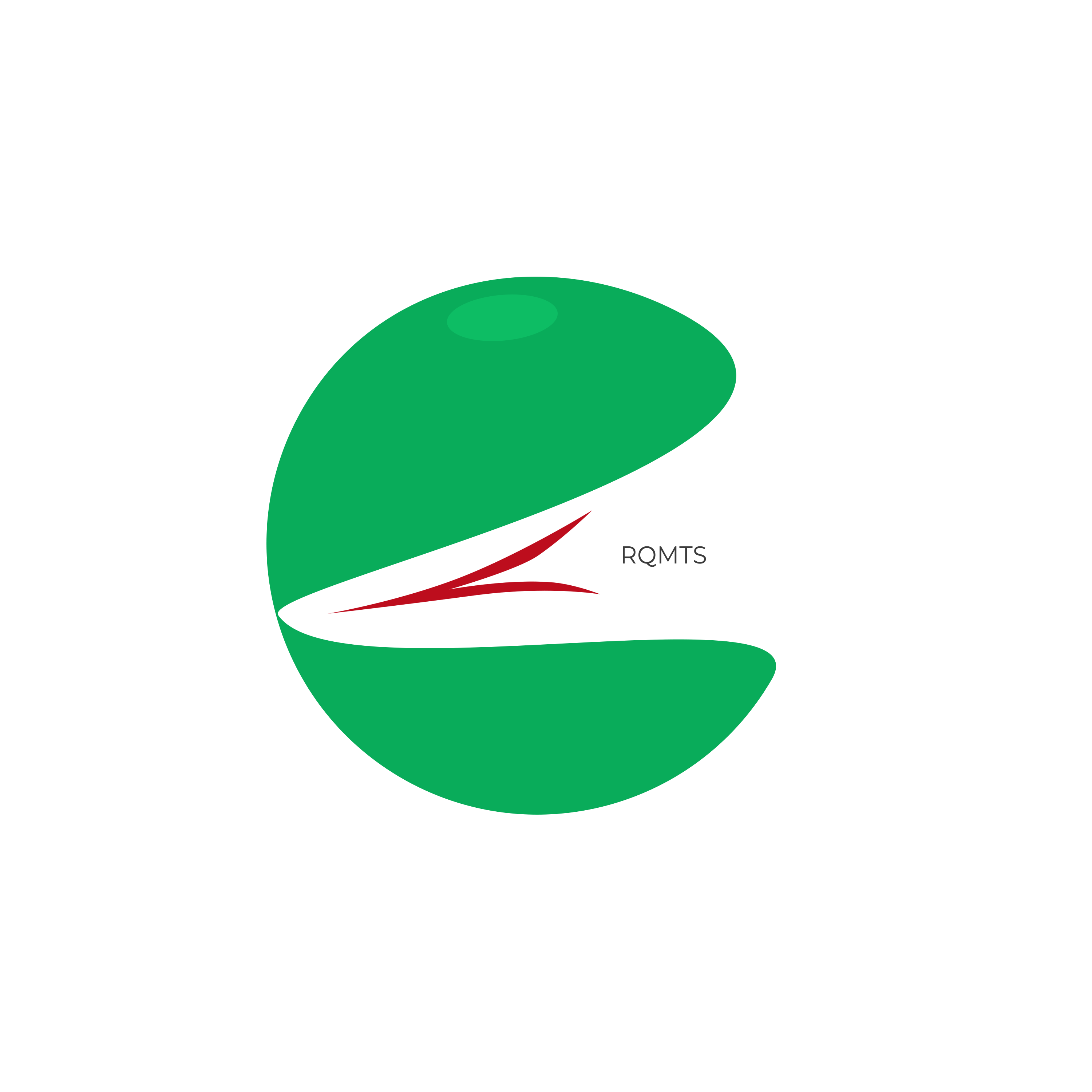 Rqmts logo