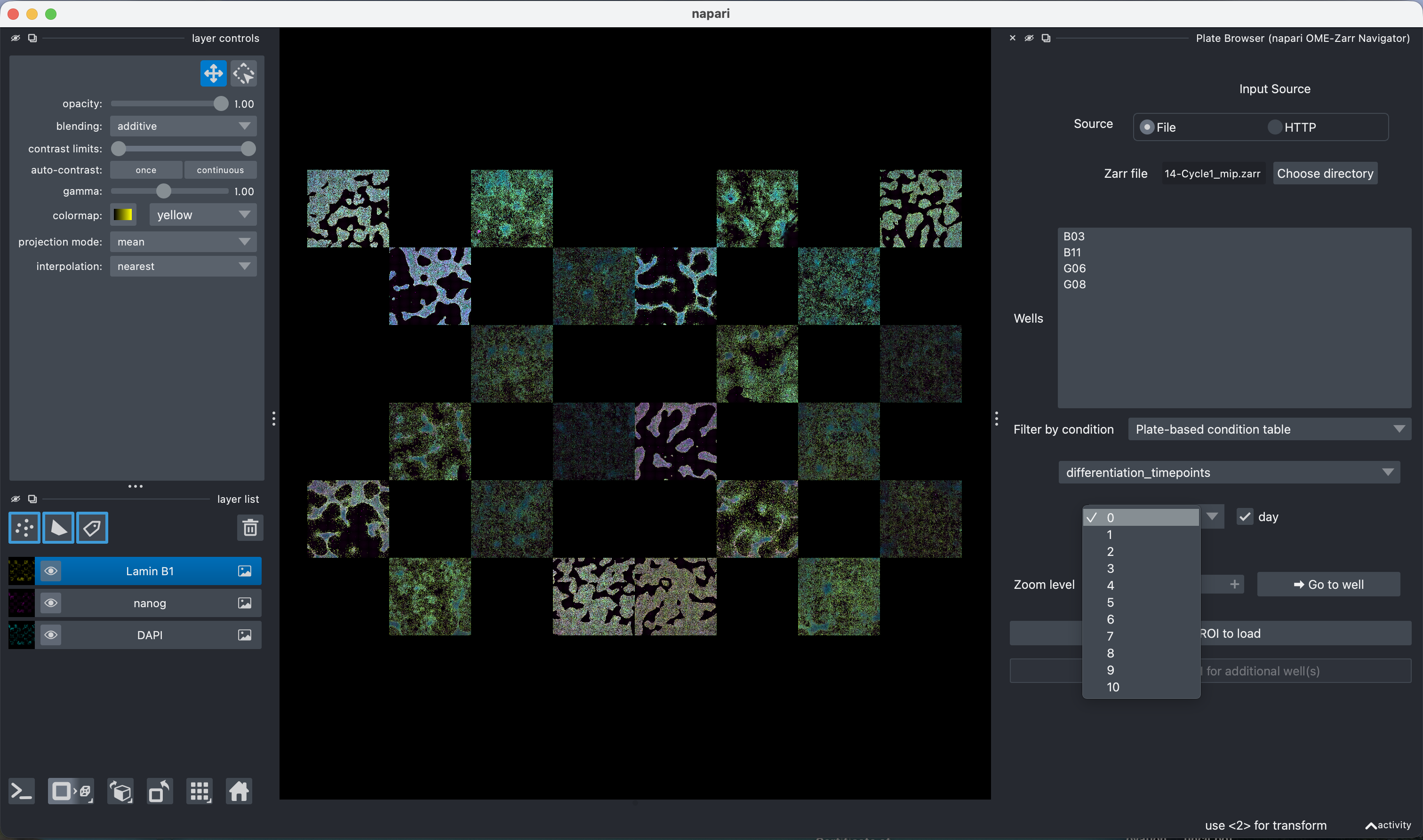 plate_browser_filtering