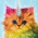 Avatar for kommissar from gravatar.com