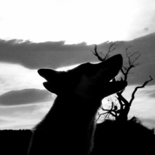 Avatar for riccardo.scalco from gravatar.com