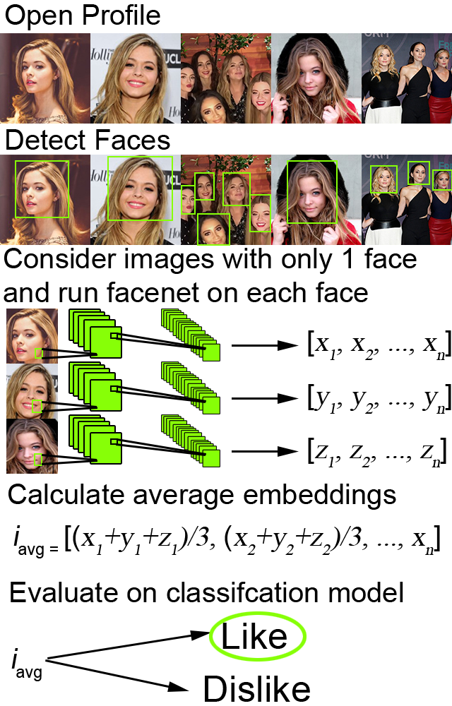 Visual aid explaining tindetheus