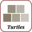 Turtles logo