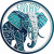 Avatar for ceylonitsolutions from gravatar.com