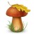 Avatar for Vitalini from gravatar.com