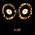 Avatar for BobBorges from gravatar.com