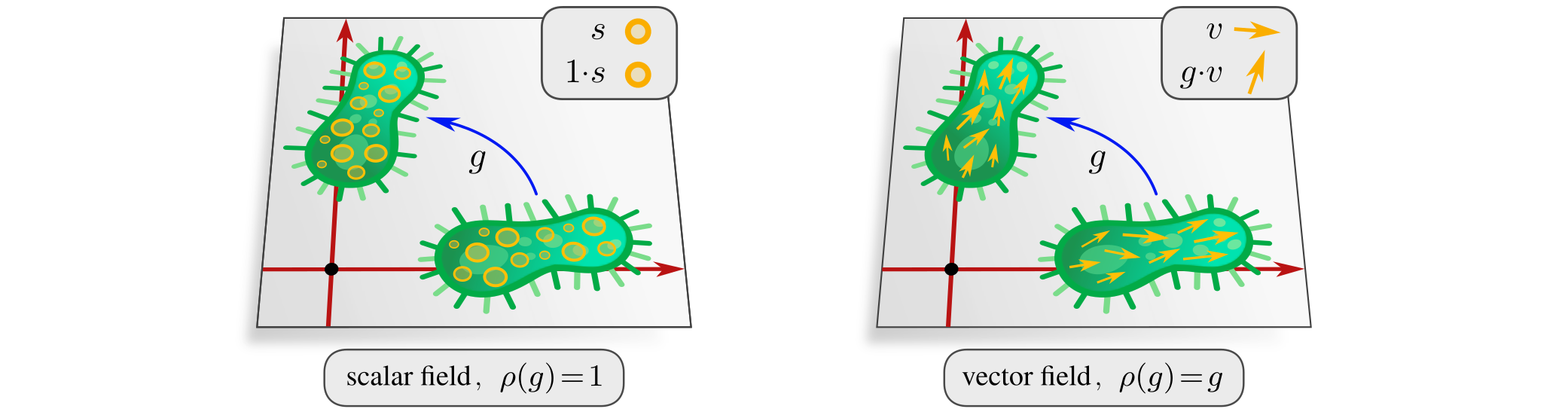 feature field examples