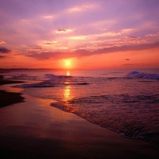 Avatar for Adrian Webb from gravatar.com