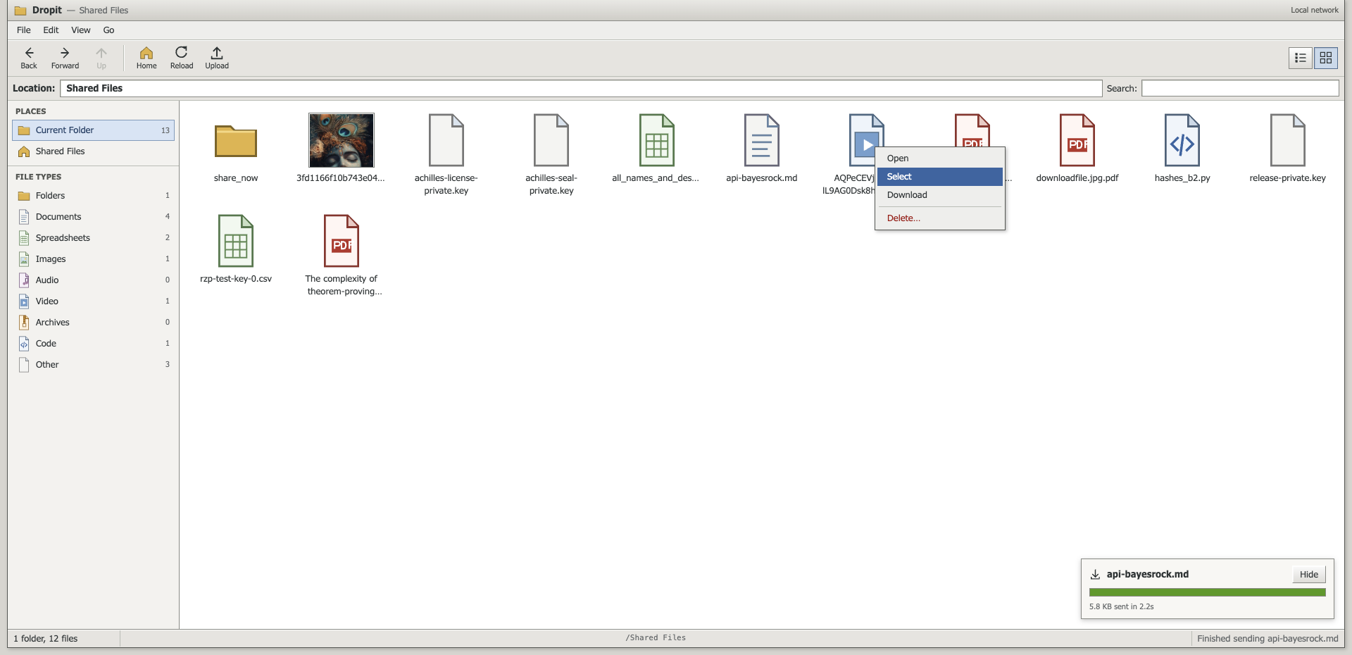 The Dropit web UI in icon view: a sidebar counting files by type, a grid of file icons, an open right-click menu offering Open, Select, Download and Delete, and a transfer tray reporting a finished download