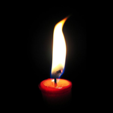 Avatar for Mira Weller from gravatar.com