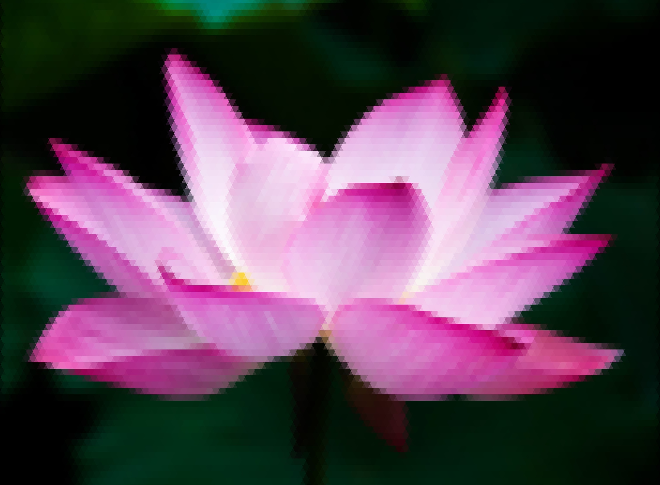 lotus-triangled.jpg
