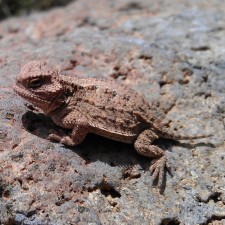 Avatar for Kelly Ferrone from gravatar.com